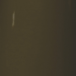 RAL 8019